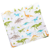 Dino muslin blanket