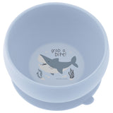 Shark silicone bowl front view