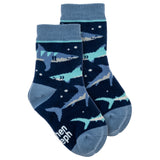Navy shark toddler socks