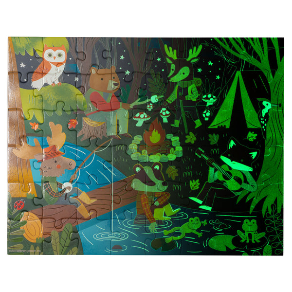 Glow In The Dark Puzzle